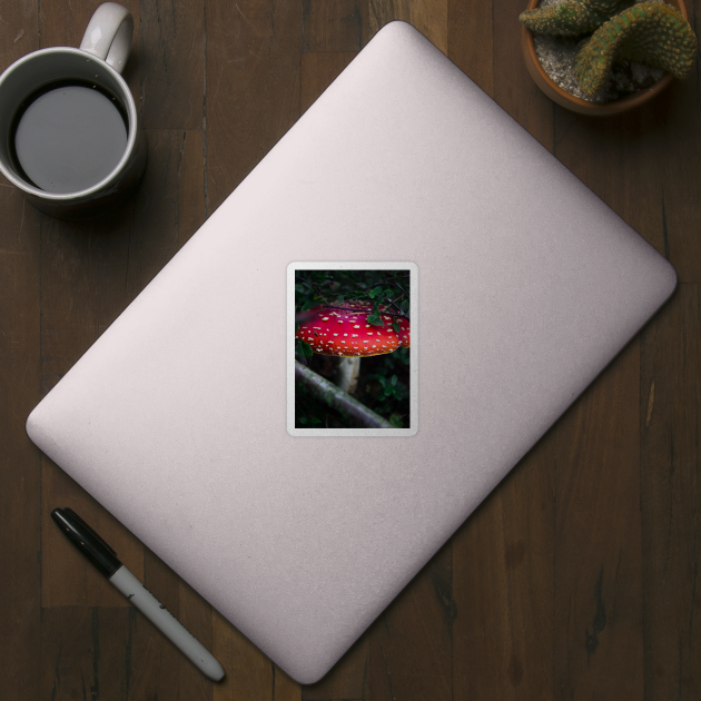 Bright red magical mushroom with white spots deep in the forest by chiaravisuals